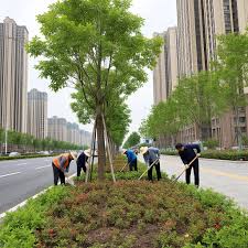 贝博中国 建筑结构与园林融合：园林管理员考试关键技巧总结
